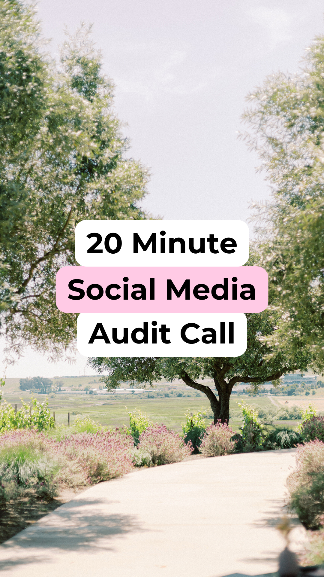 20 Minute Social Media Audit Call